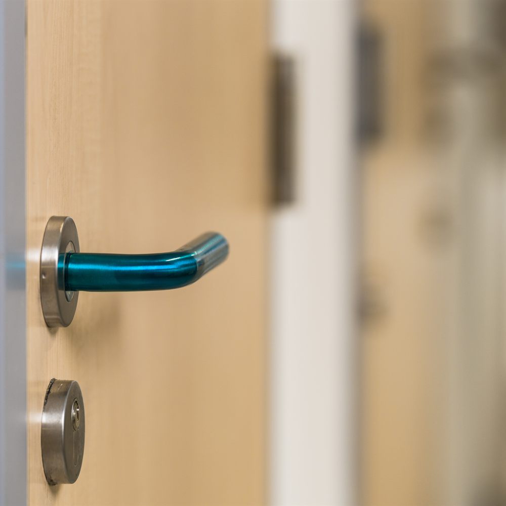 VEROPAL® Stainless Protect S