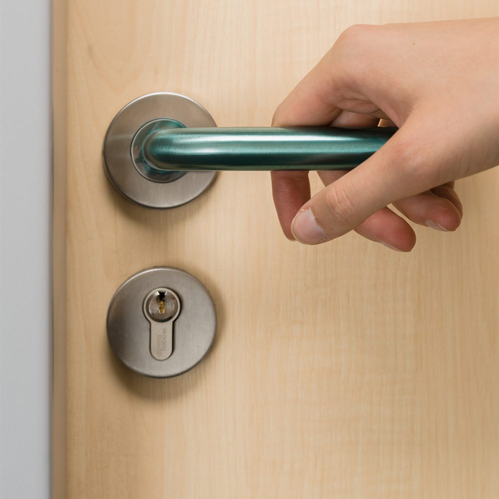 VEROPAL® Stainless Protect S